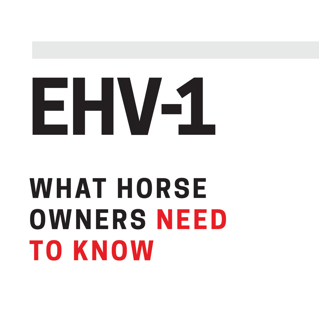 What You Need To Know about EHV-1 in Horses