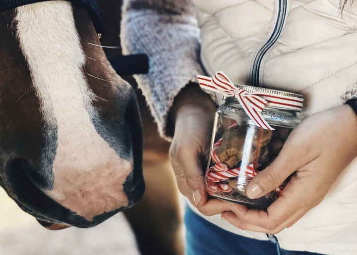 Holiday Horse Treats