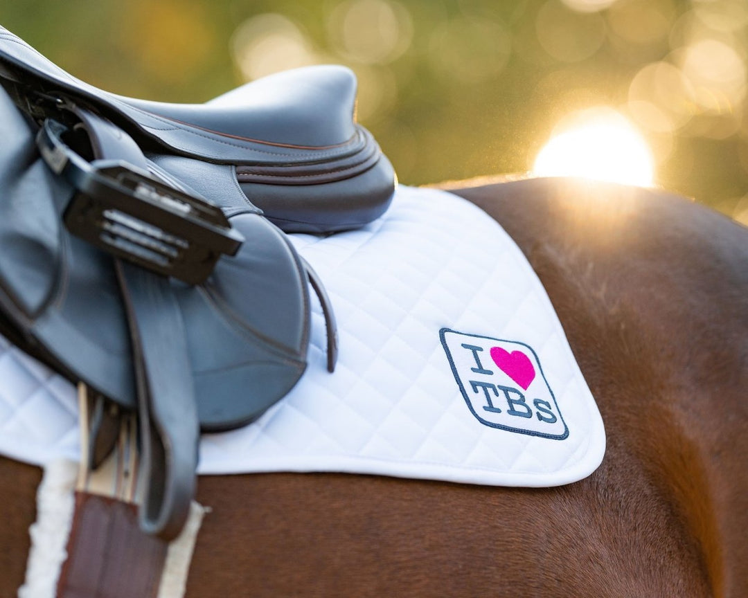 The OTTB & Thoroughbred Collection