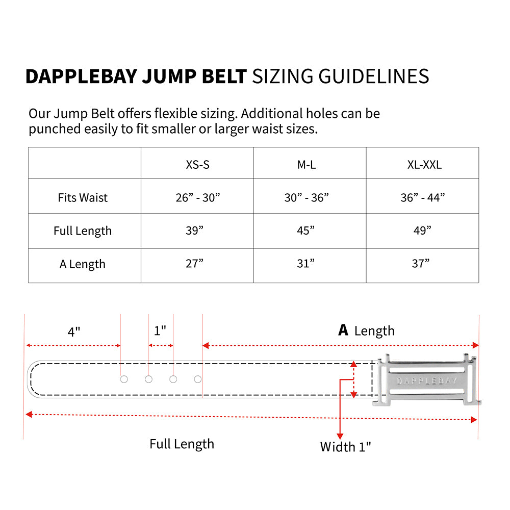 Dapplebay Reversible Jump Belt - Silver