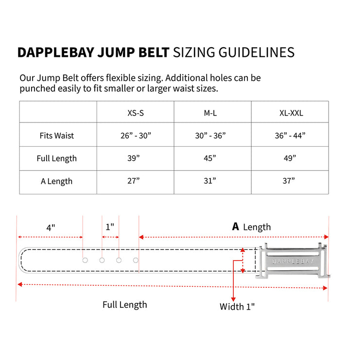 Dapplebay Reversible Jump Belt - Silver