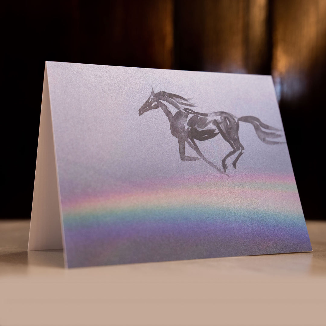 Rainbow Chaser - Greeting Card Set